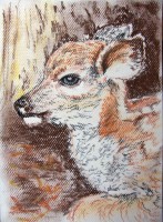 /album/zvieratka-suchy-pastel/obraz-677-jpg/